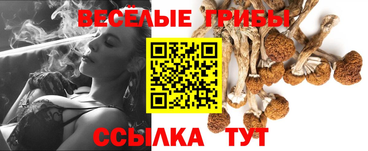 Верхняя Пышма  Галлюциногенные грибы прущие грибы  как найти наркотики  Вход с VPN 